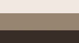 Walnut Crunch/Wacky Khaki/Breakfast Tea