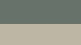 New Willow Leaf/Meadow Haze/Silver