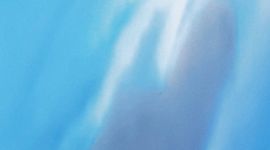 Clubhouse Blue/Tropical Sky/Ocean Wave/White/Clubhouse Blue