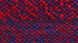 New Oxford Red/Clubhouse Blue