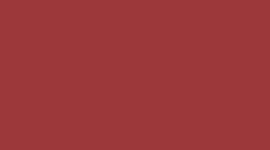 New Cranberry Charm/Cherry Ember