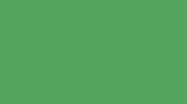License to Train インナーなしショーツ 股下7インチ *アップデート
