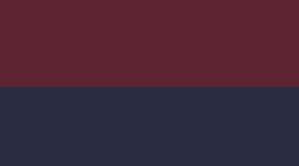 New True Navy/Burgundy Bay