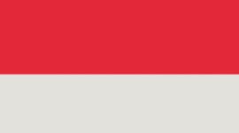 New Oxford Red/Vapor/Silver