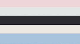 New Black/Light Ivory/Blush Quartz/Pelican/Sinatra Blue