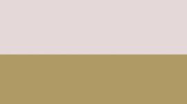 New Pink Pearl/Gold/Gold