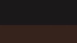 New Black/Walnut Crunch/Light Ivory