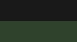 Black/Shadow Green (not available)