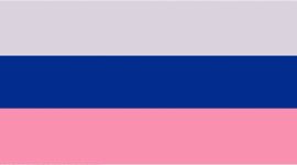 New Racer Pink/Sheer Violet/Riverside