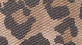 New True Leopard Multi/Oxford Red/Walnut Crunch/Silver