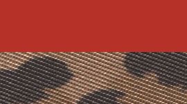 New True Leopard Multi/Oxford Red/Silver