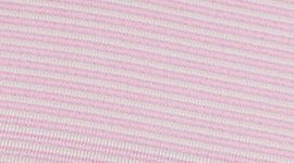 Spandex Stripe Light Ivory/Sweet Sorbet