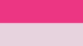 New Pink Pearl/Pink Flare/Pink Flare/Pink Flare