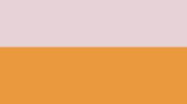 New Pink Pearl/Citrus Sizzle/Citrus Sizzle