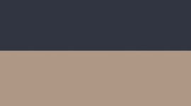 New True Navy/Wacky Khaki