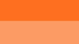 New Citrus Sizzle/Light Ivory/Silver