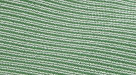 Nouveau Spandex Stripe Ivy Grove/Light Ivory