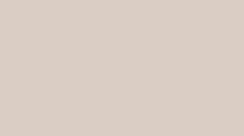Nouveau Sand Dollar