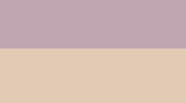 New Lotus Lavender/Wacky Khaki/Silver
