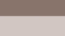 New Downtown Tan/Light Ivory/Silver