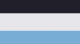 Nouveau White/Ocean Wave/True Navy