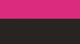 New Pink Flare/Black