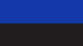 New Beach Ball Blue/Black