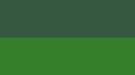 New Ivy Grove/Chameleon