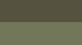 Nouveau Sassy Sage/Deep Forest
