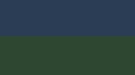 New Club Blue/Ivy Grove/White