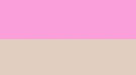 New Sweet Sorbet/Wacky Khaki