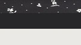 New Black/Light Ivory/Petite Floral Coconut Ivory Black