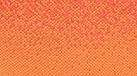 New Star Burst Tone/Citrus Sizzle Tone