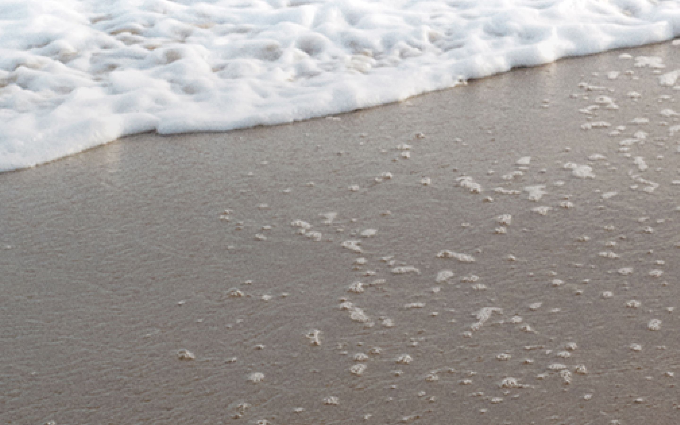 Image of a beach with text that says: free shipping and returns on orders over £50.