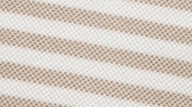 New Even Stripe Wacky Khaki Coconut Ivory