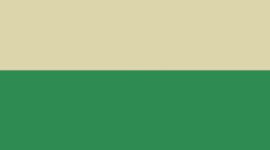 New Chameleon/Gold