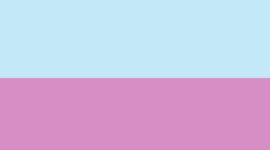 New Seafoam/Sweet Sorbet/Seafoam/Light Ivory