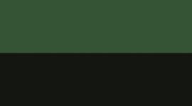 New Rainforest Green/Green Cove/Onyx Grey