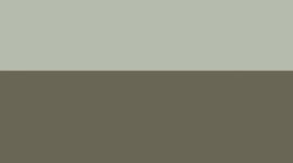 New Army Green/Fog Green