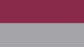 New Raspberry Rave/Burgundy Bay