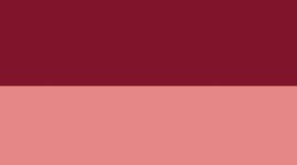 New Raspberry Rave/Plum Peach/Pink Pearl