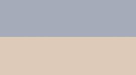 New Dusty Diamond/Wacky Khaki