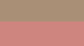 New Pink Parade/Wacky Khaki/Rose Gold