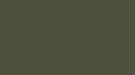 New Sassy Sage/Light Ivory/Burgundy Bay