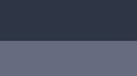Nouveau Dusty Diamond/True Navy