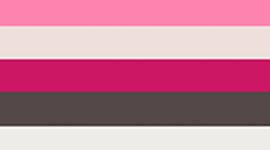 New Light Ivory/Misty Shell/Raspberry Rave/Flamingo Fun Tone/Mahogany Muse