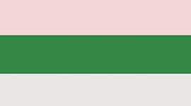 New Pink Pearl/Chameleon/White