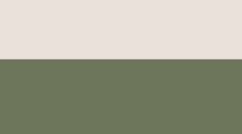 New Light Ivory/Sassy Sage