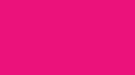 New Flamingo Fun Tone/Raspberry Rave