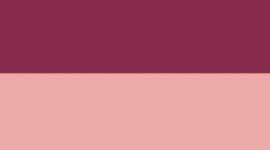New Raspberry Rave/Pink Parade/Silver